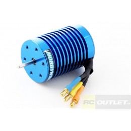 http://www.rcoutlet.nl/17388-19708-thickbox/hobbywing-brushless-motor-13t-3000kv.jpg